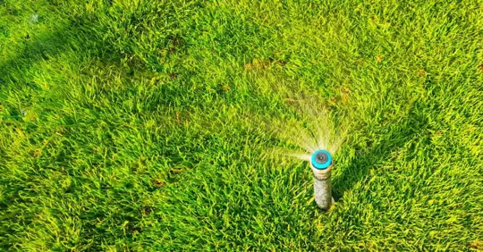 Grass watering