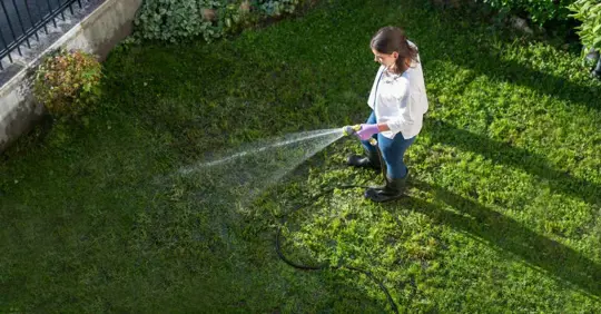 Woman watering garden with water hose