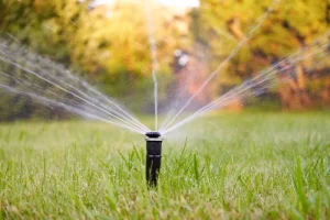 A sprinkler system watering a green lawn, showcasing the importance of maintaining irrigation systems before winter.
