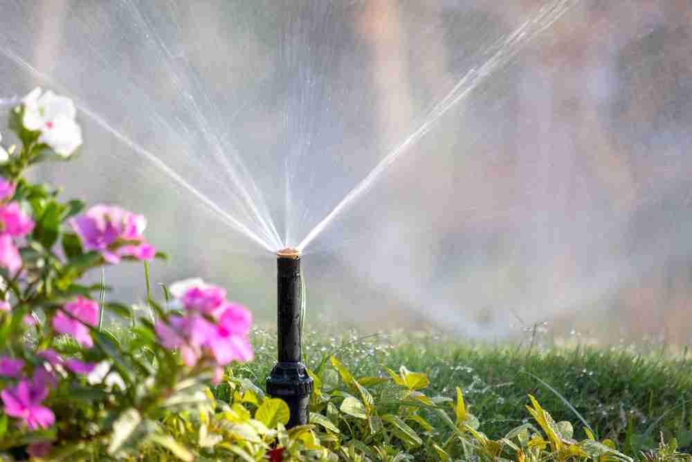 Sprinkler Photo of Sprinkler