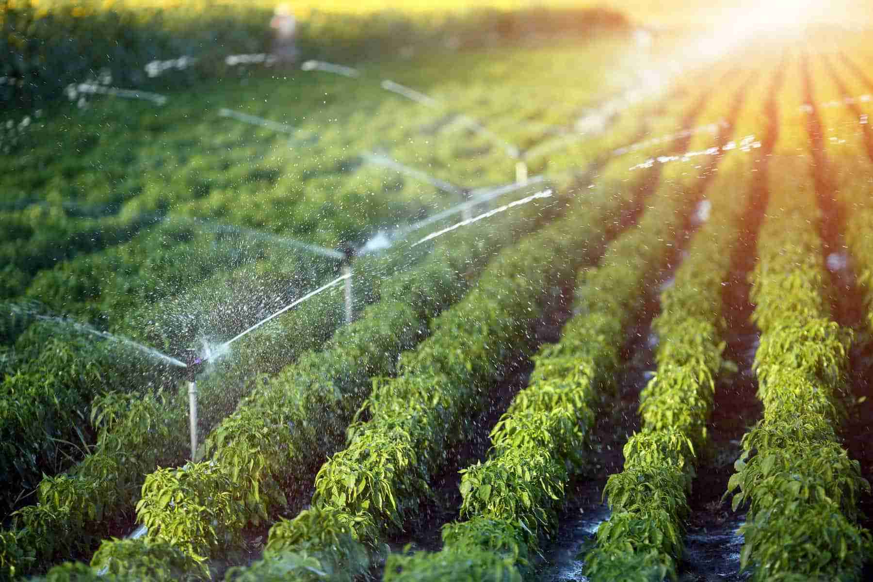 Irrigation system repair