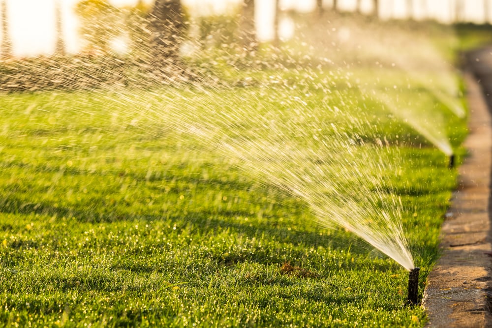 Sprinkler Head Watering The Bush And Grass In The Garden. Sprinkler Repair Dallas, TX