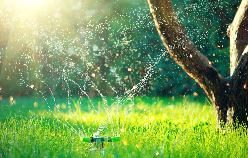 Garden Grass Watering. Smart Garden Activated With Full Automatic Sprinkler. Sprinkler Repair Fort Worth, TX