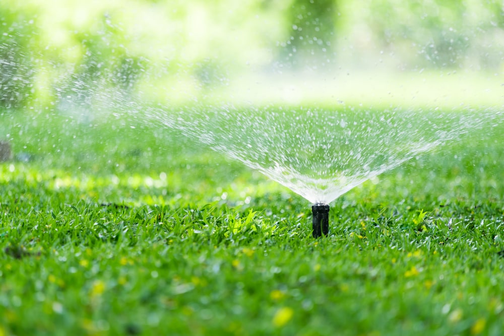 Automatic Garden Lawn Sprinkler In Action Watering Grass. Sprinkler Repair Dallas, TX