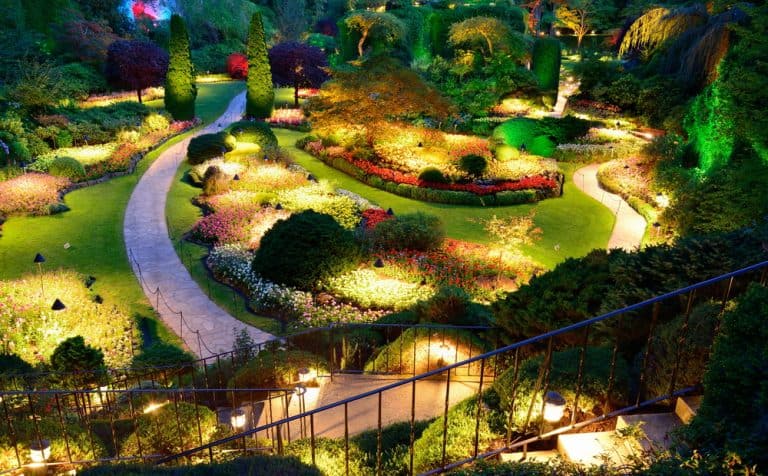 Overview of a garden with a walkway. Landscape Lighting Tarrant County, TX